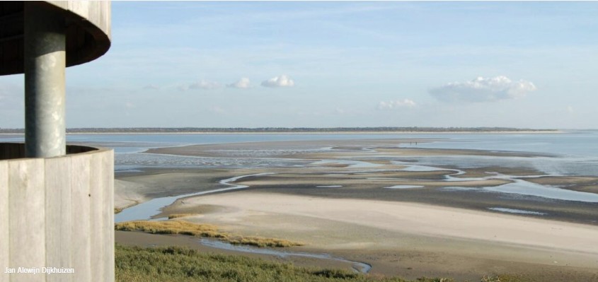 260927 Slikken van Voorne - Zuid-Hollands landschap