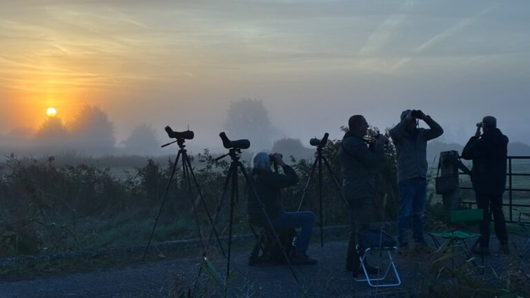 261003 Euro BirdWatch Matjes 03